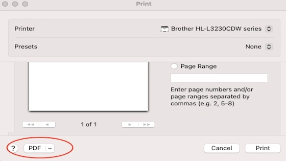 Graphic showing settings for print to pdf