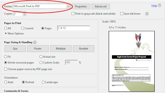 Graphic showing settings for print to pdf